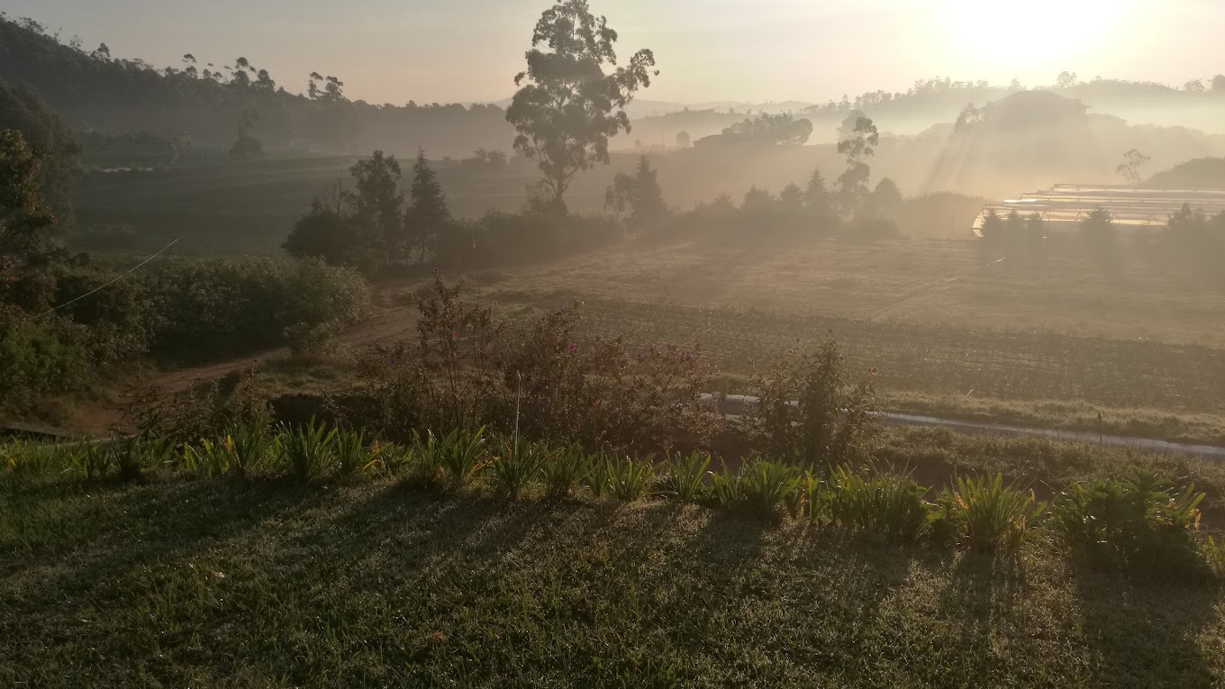 A farm in nuwara eliya
